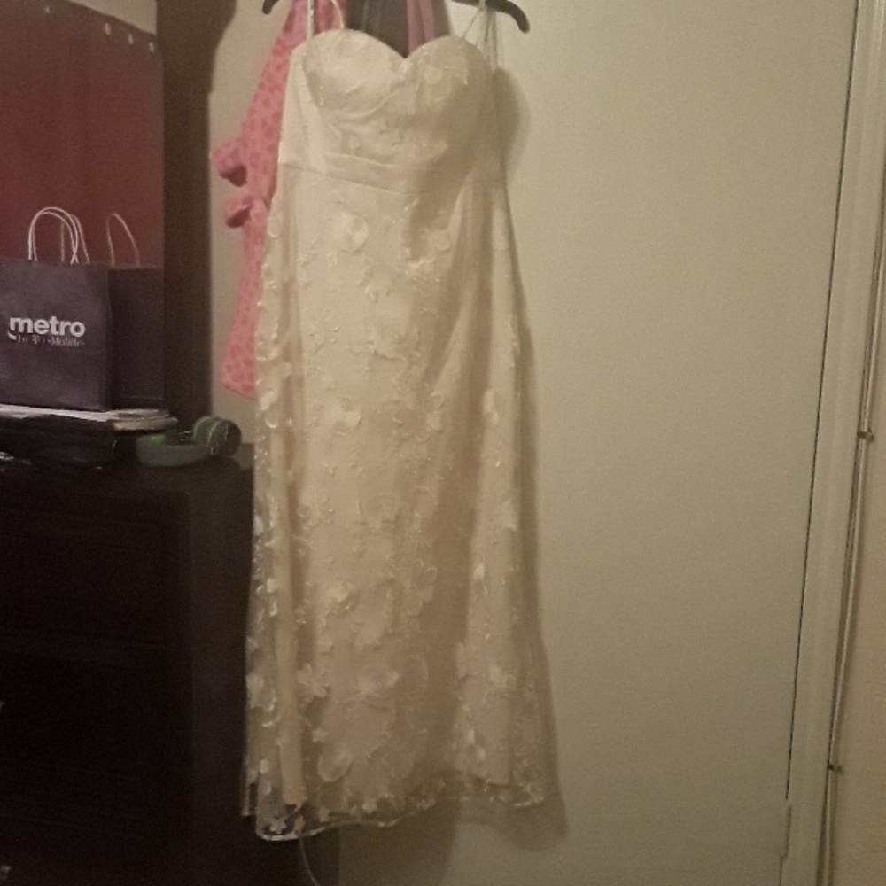 Chi Chi London Lace Gown